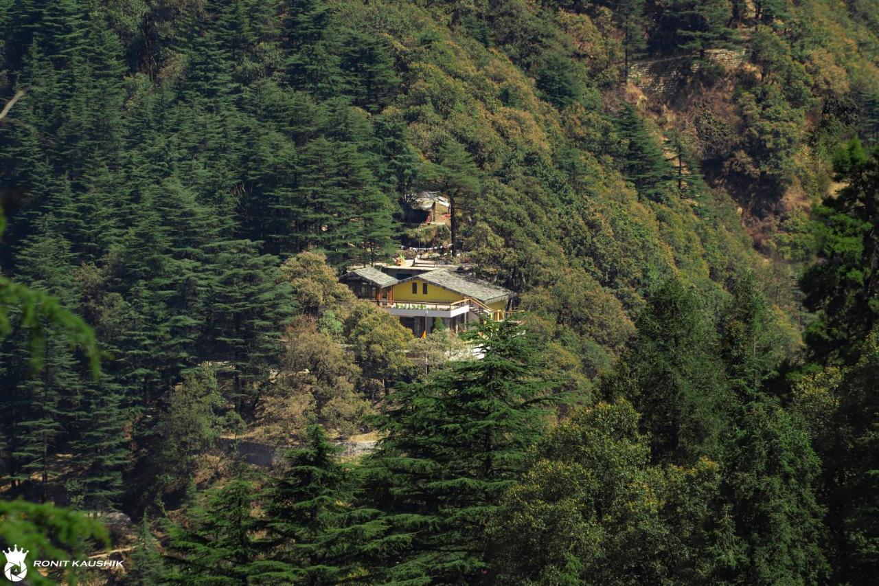 Rock Villa By Baaya Mussoorie Exteriör bild